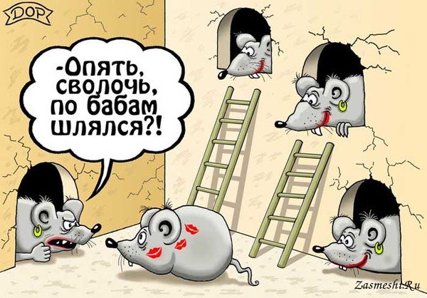 Начальник карикатура