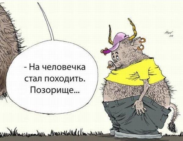 Алексей Меринов карикатурист