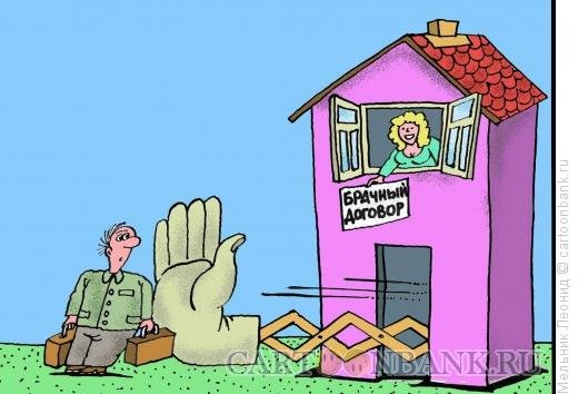 Раздел имущества карикатура