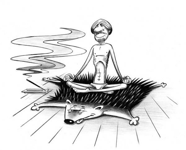Йог карикатура
