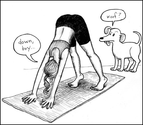 Смешные карикатуры йоги