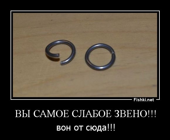 Слабое звено прикол