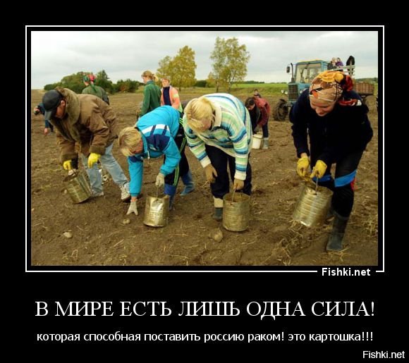 Приколы про копание картошки