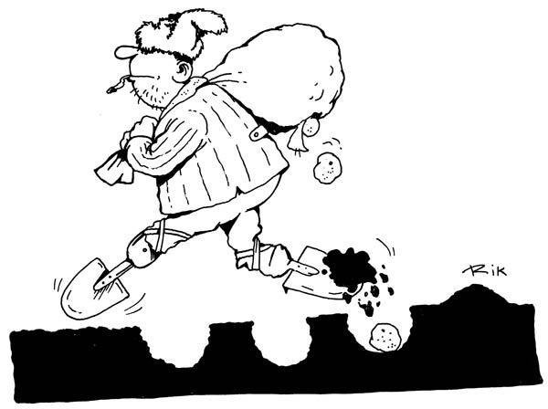 Бидструп Живая изгородь