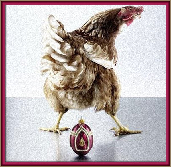 Гламурная курица