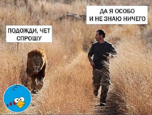 Израильские карикатуры