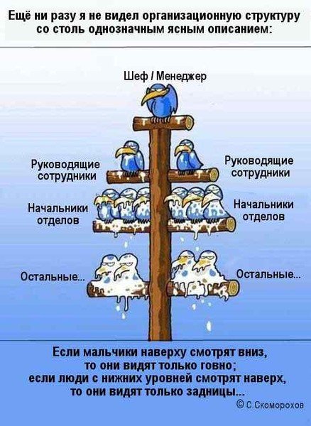 Птички иерархия на работе