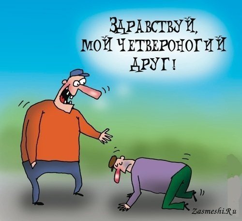 Друзья карикатура