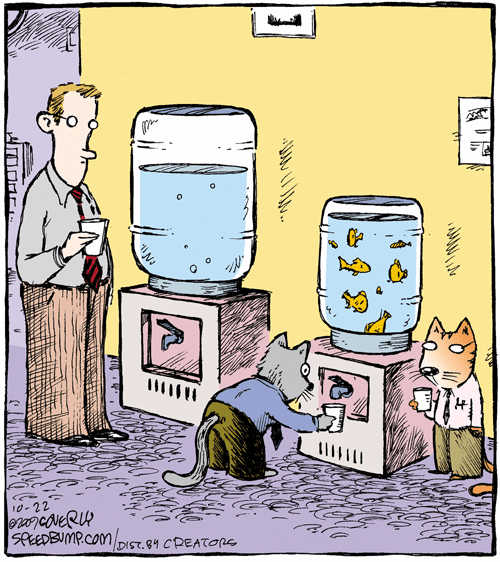 Банкет карикатура