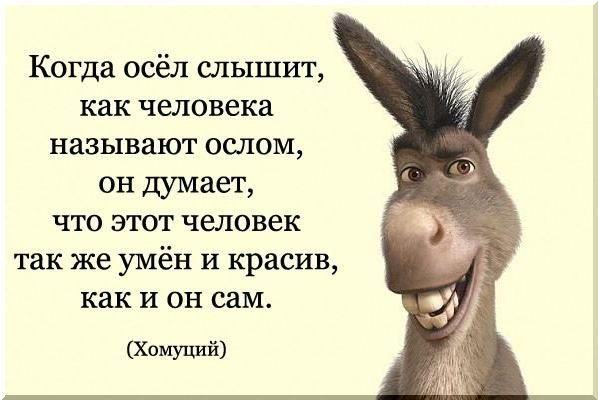 Приколы рисунки