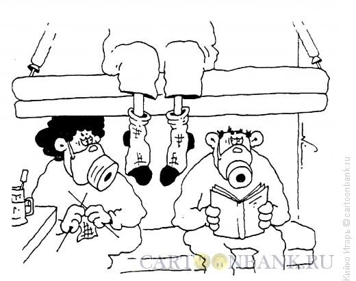 Попутчик карикатура