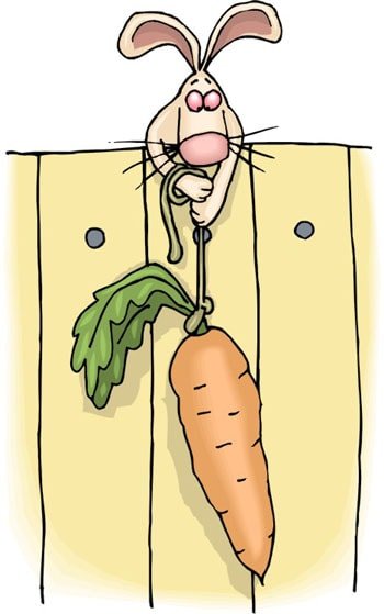 Пьяный заяц