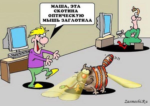 Компьютерные анекдоты