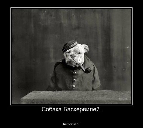 Собака Баскервилей юмор