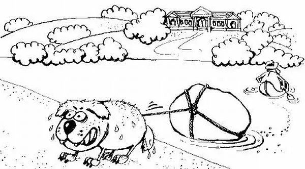 Голова собаки Баскервилей