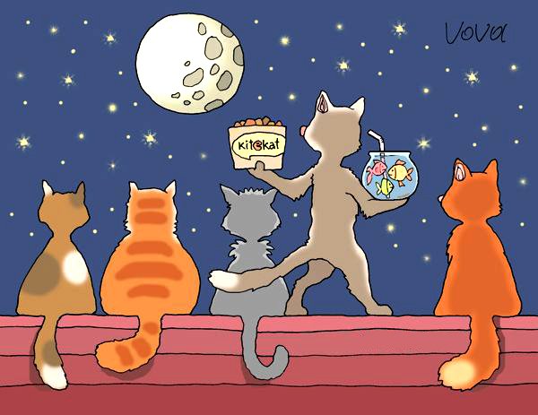 Мартовские коты карикатуры