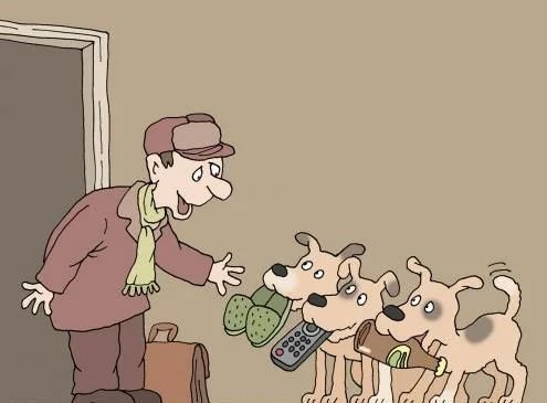 Коты и собаки карикатуры