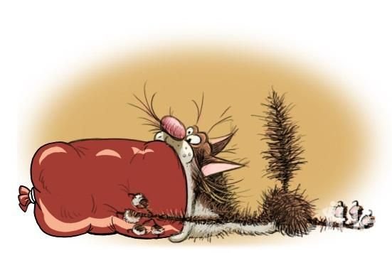 Кот с колбасой во рту