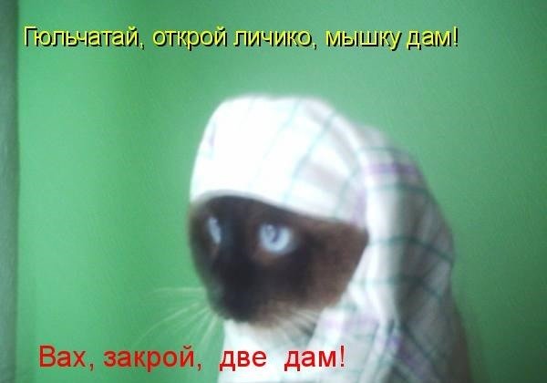 Гюльчатай открой личико карикатура (48 фото)