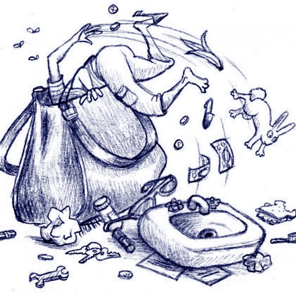 Чемодан знаний