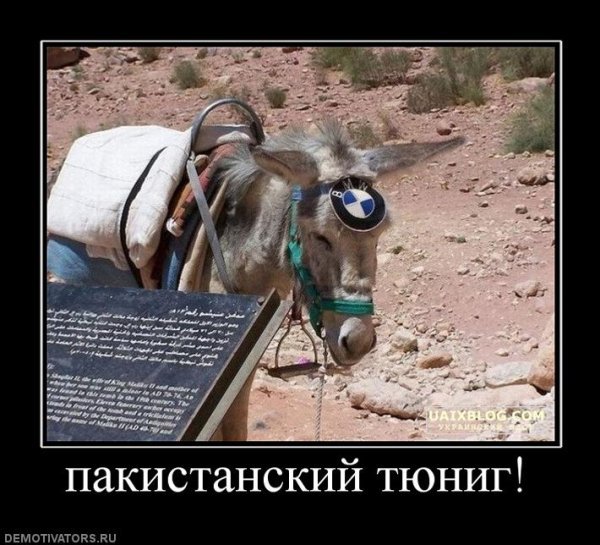 Пояс верности приколы