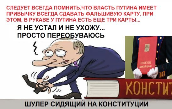 Поправки в Конституцию карикатура