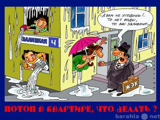 Затопили карикатура