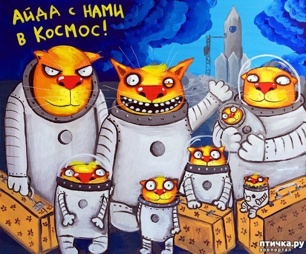 Шутки про электриков