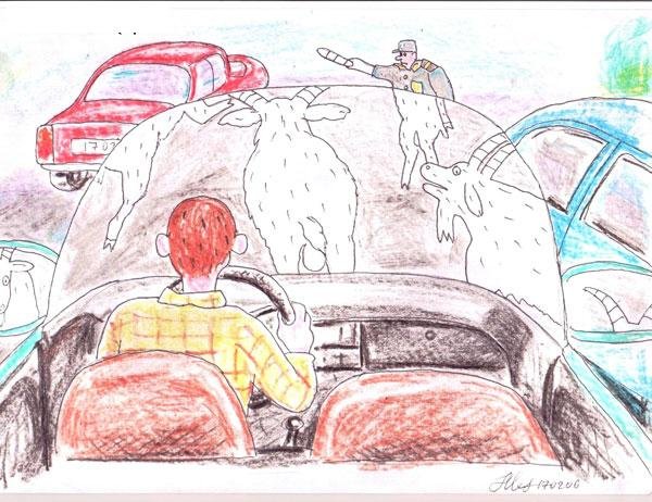 Мир глазами водителя