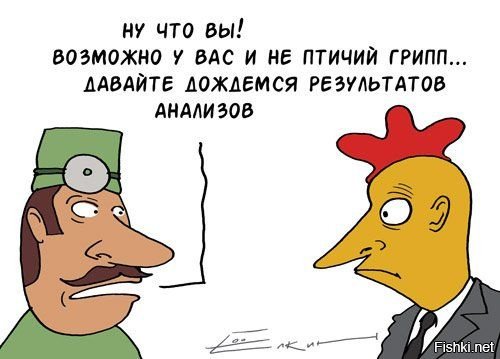 Птичий грипп прикол