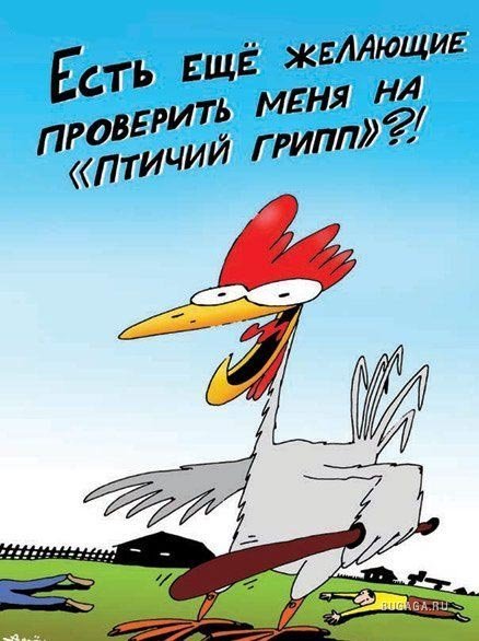 Птичка карикатура