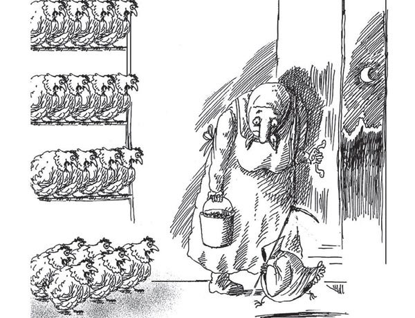 Анекдоты про свиней и поросят