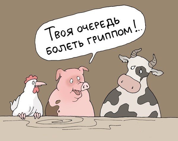 Курица смотрит телевизор
