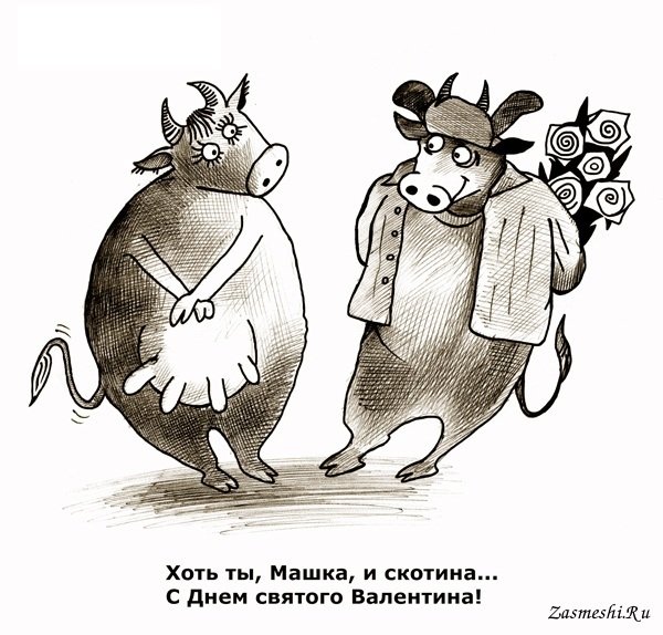 Смешные валентинки