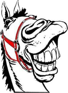 Лошадь ржет вектор