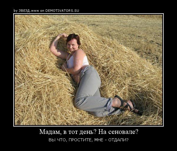 Сеновал прикол