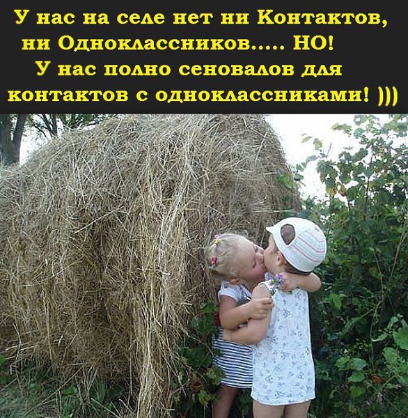 Сеновал прикол