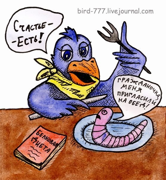 Карикатуры про птиц