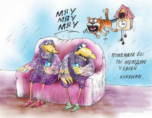 Шутки про кукушку