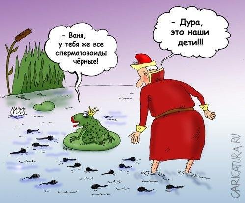 Карикатуры про тупых женщин