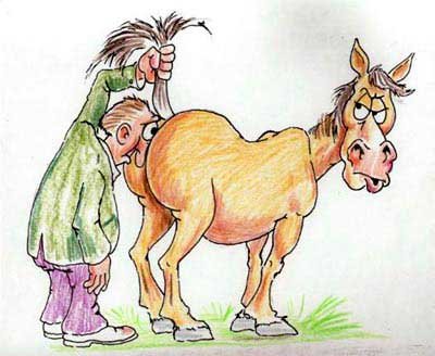 Лошадь карикатура