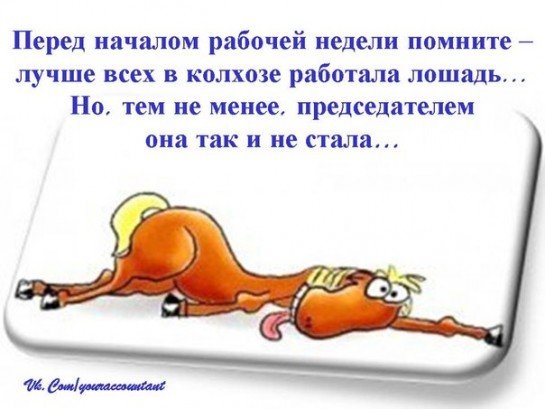 Конный спорт карикатуры