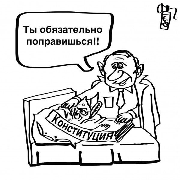 Конституция РФ карикатура