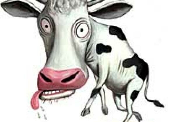 Чокнутая корова