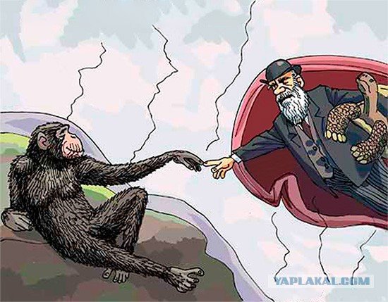 Художник Дональд роллер Уилсон