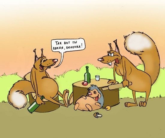 Карикатуры про белку