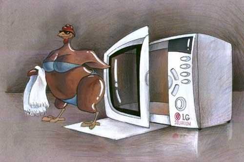 Мясо на вертеле иллюстрация