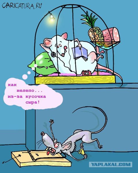 Проблемы карикатура