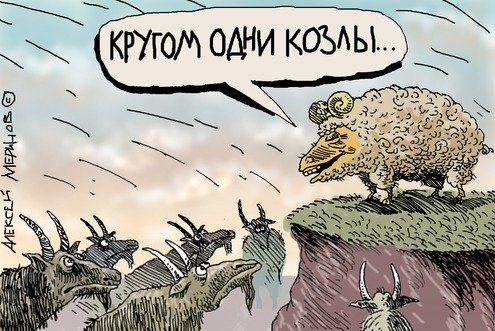 Художник карикатурист Ольга Громова