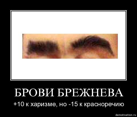 Брови Брежнева